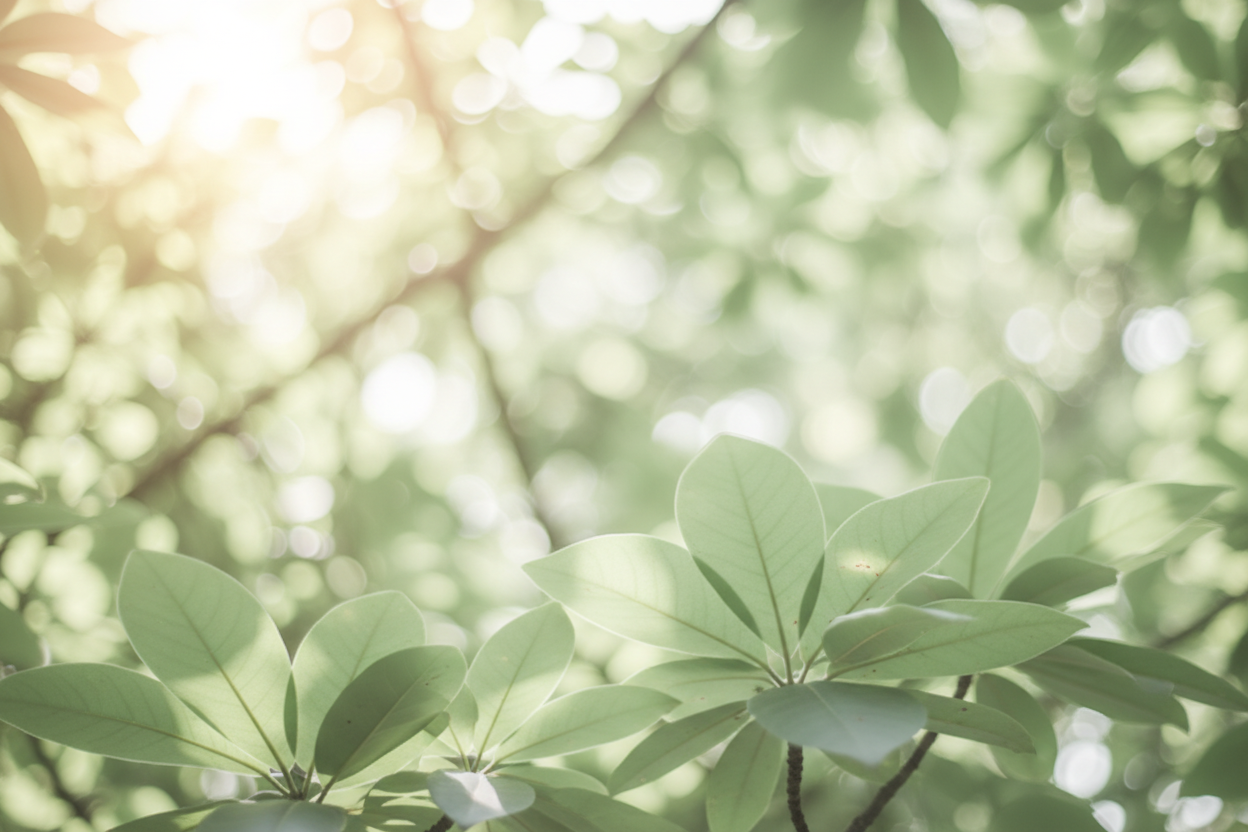 Wellness Hero Background